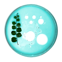 nutrilab-cyprus-home-sct5